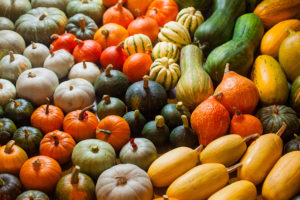 group of different varieties of squash